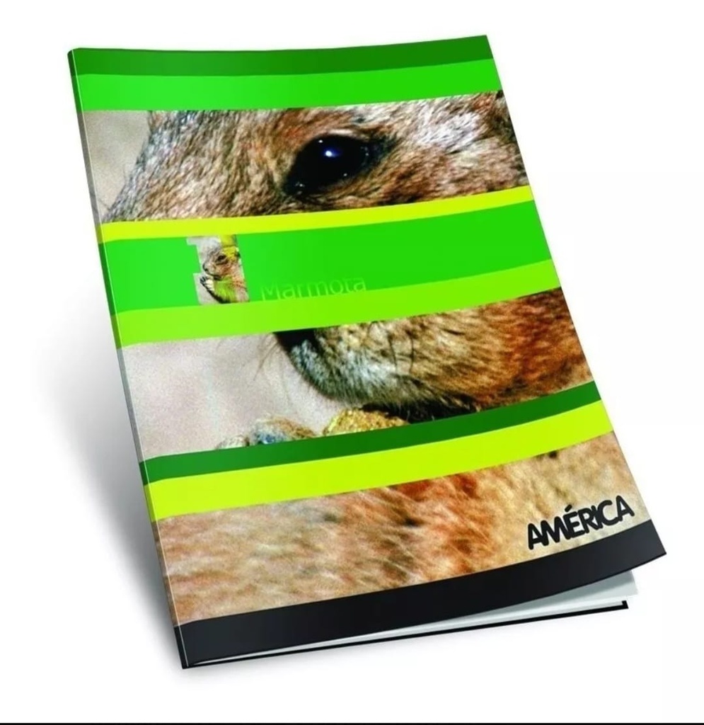 🔴Cuaderno America Tapa Blanda x24 (Rayada)