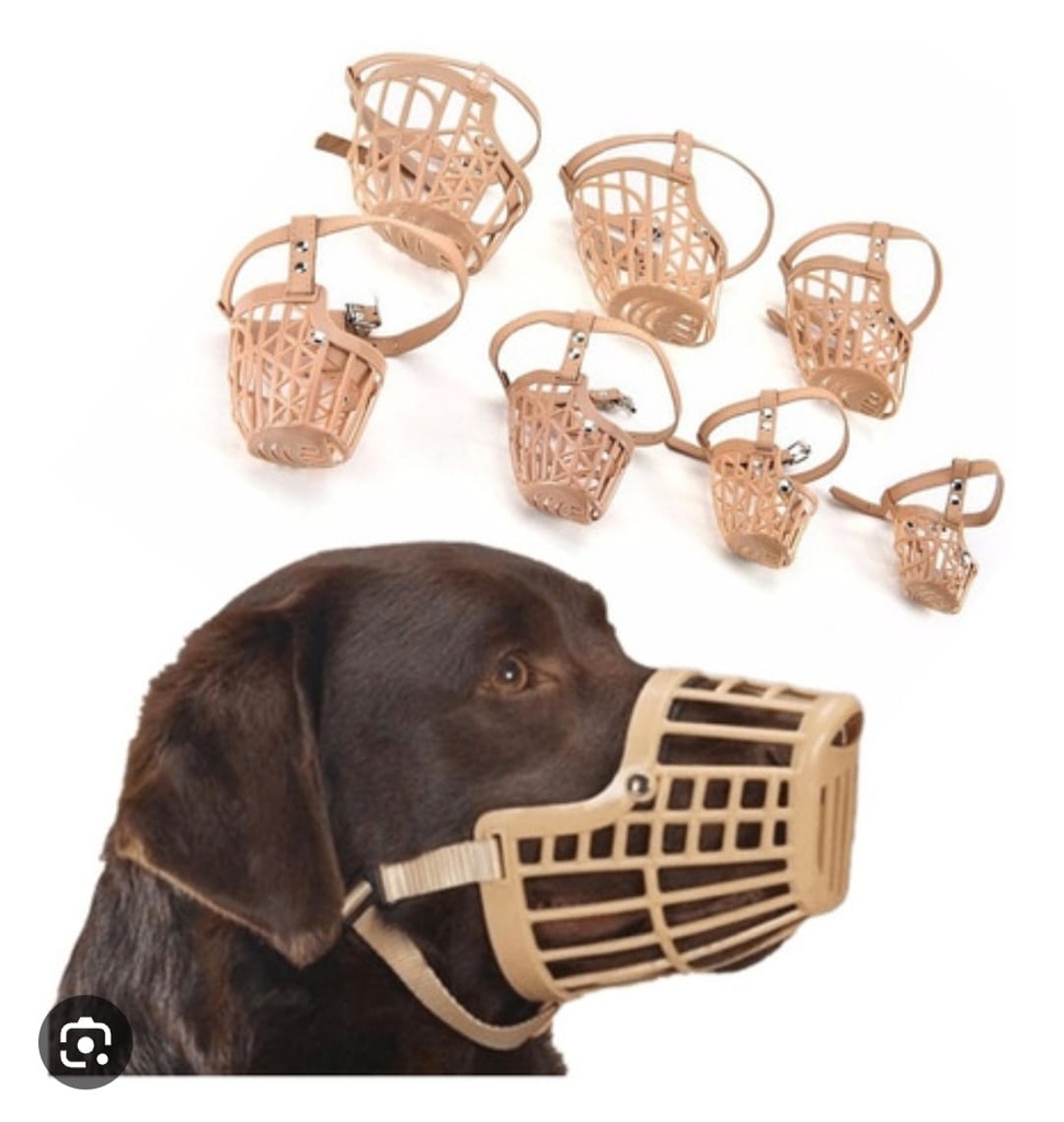 Bosal Mascota Grande N5 y N6 N7